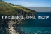 折腾过 蘑菇网站，顺不顺，蘑菇网片