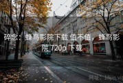 碎念：蜂鸟影院下载 值不值，蜂鸟影院 720p 下载