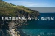 折腾过 蘑菇视频，香不香，蘑菇视呢