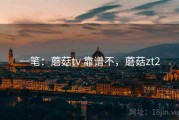 一笔：蘑菇tv 靠谱不，蘑菇zt2
