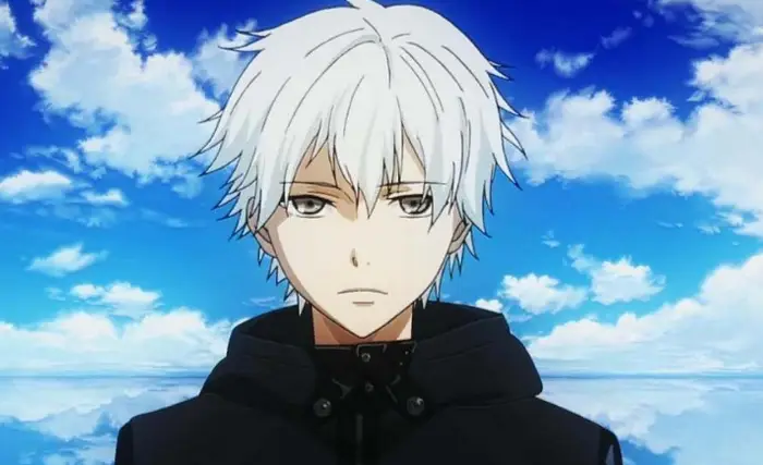 风车动漫在线观看入口｜正版平台上架信息｜地区差异与更新提示