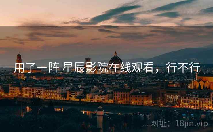 用了一阵 星辰影院在线观看，行不行