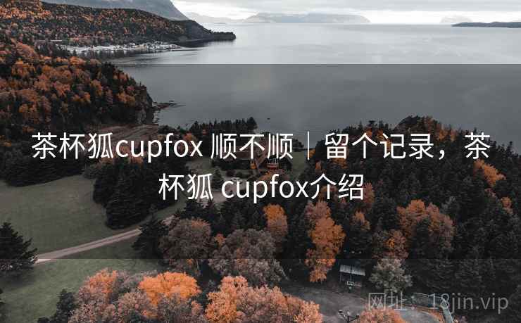 茶杯狐cupfox 顺不顺｜留个记录，茶杯狐 cupfox介绍