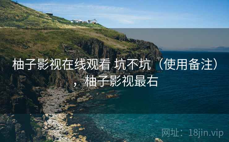 柚子影视在线观看 坑不坑（使用备注），柚子影视最右