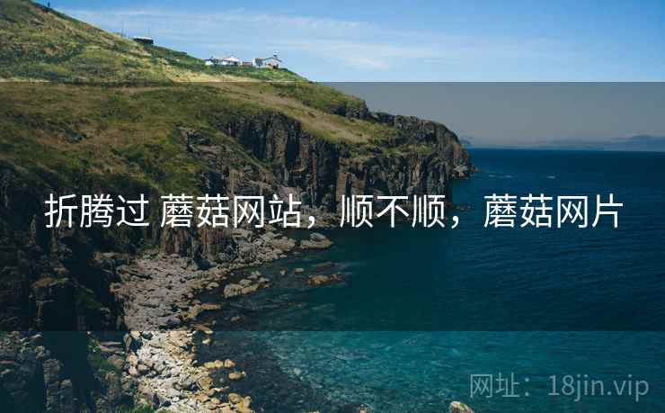 折腾过 蘑菇网站，顺不顺，蘑菇网片