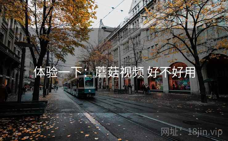 体验一下：蘑菇视频 好不好用